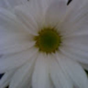 Meet your Posher, Kris